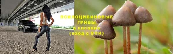 бошки Елизово