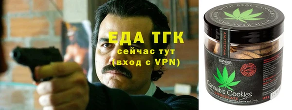 метамфетамин Ельня