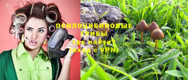 бошки Елизово