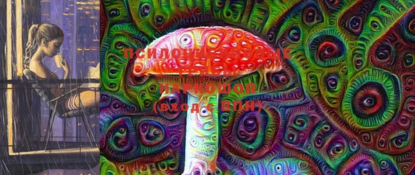 бошки Елизово