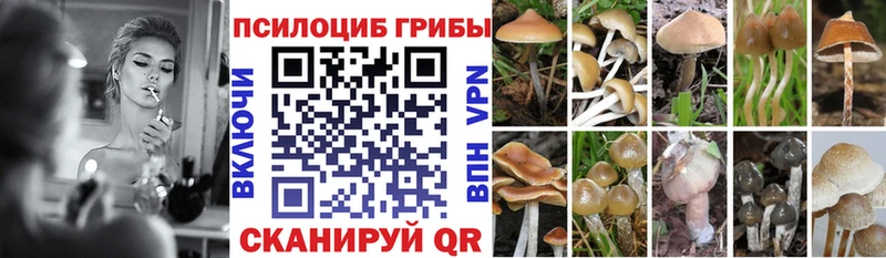 Псилоцибиновые грибы Magic Shrooms  Кемерово 